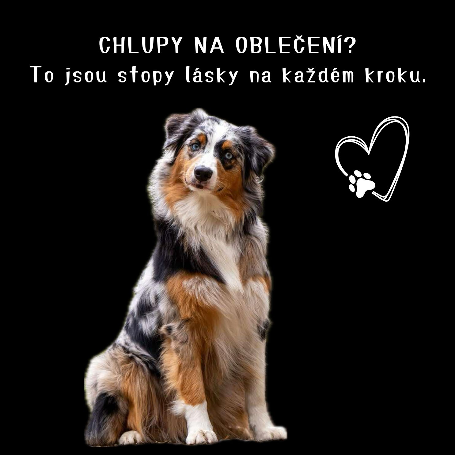 Tričko s potiskem Chlupy na oblečení